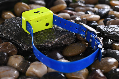 4G IK122M Pro GPS Collar (No Eshock & Vibration)
