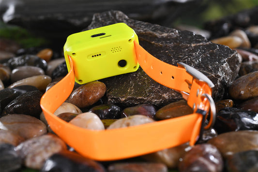 4G IK122M Pro GPS Collar (No Eshock & Vibration)