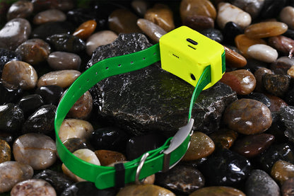 4G IK122M Pro GPS Collar (No Eshock & Vibration)