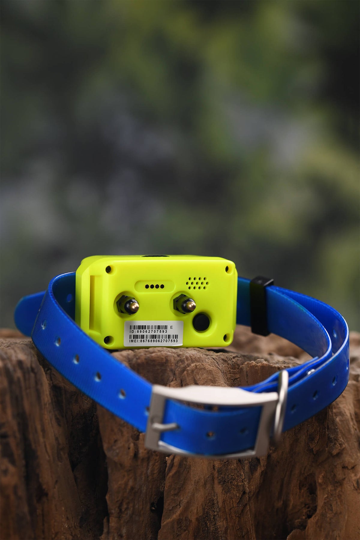 Renew 4G IK122T Pro GPS Collar
