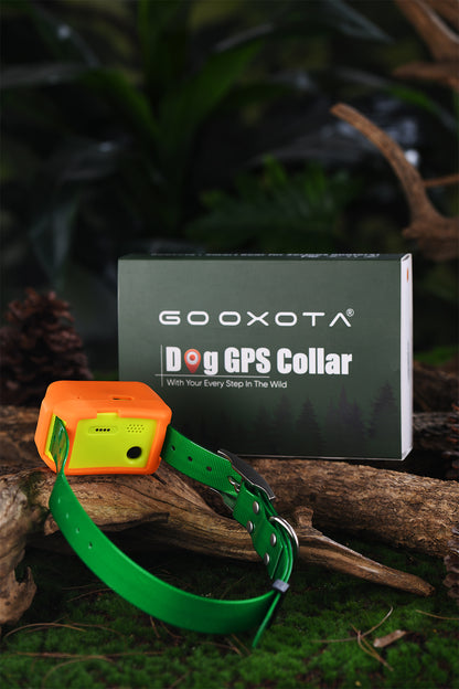 4G IK122M Pro GPS Collar (No Eshock & Vibration)